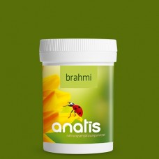 Brahmi