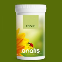 Cissus 180K