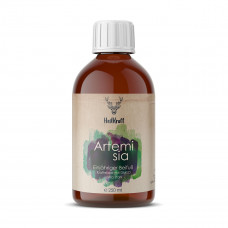 Artemisia Auszug mit DMSO