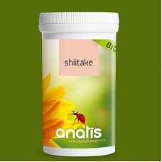 Shiitake Pilz BIO
