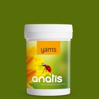 Yams
