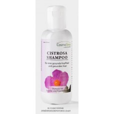 Cistrosa Shampoo